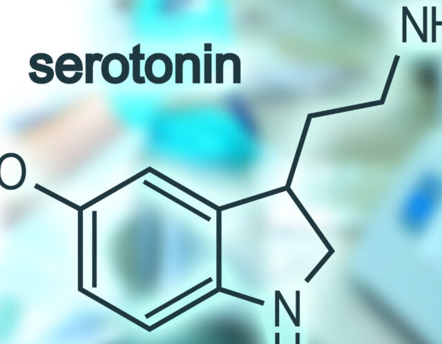セロトニン：幸福の化学物質がもたらす心の安定